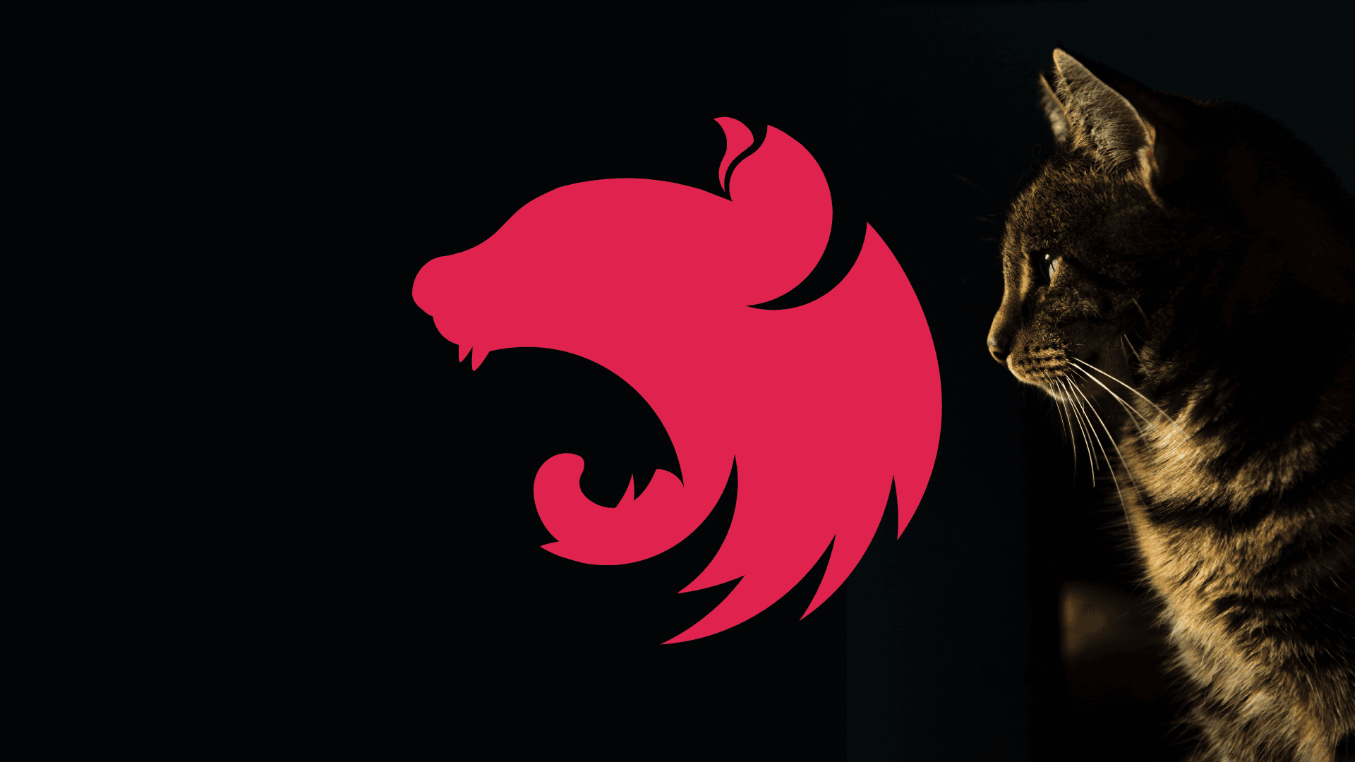 NestJS logo with a cat in the background